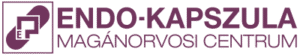 Endo-Kapszula