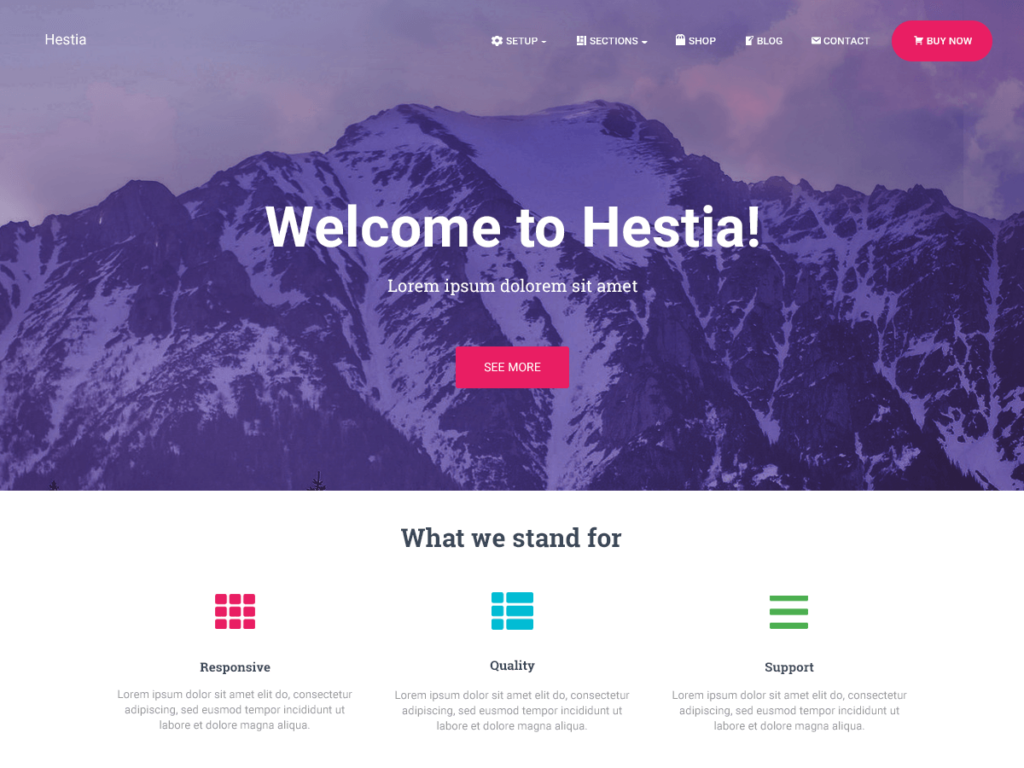 WordPress sablonok - Hestia PRO