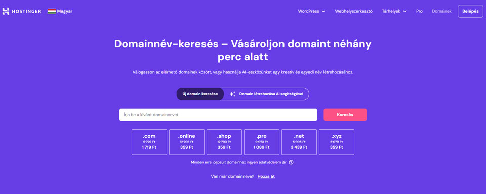 Hostinger domain regisztrátor