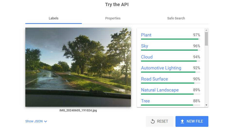 Google Cloud Vision